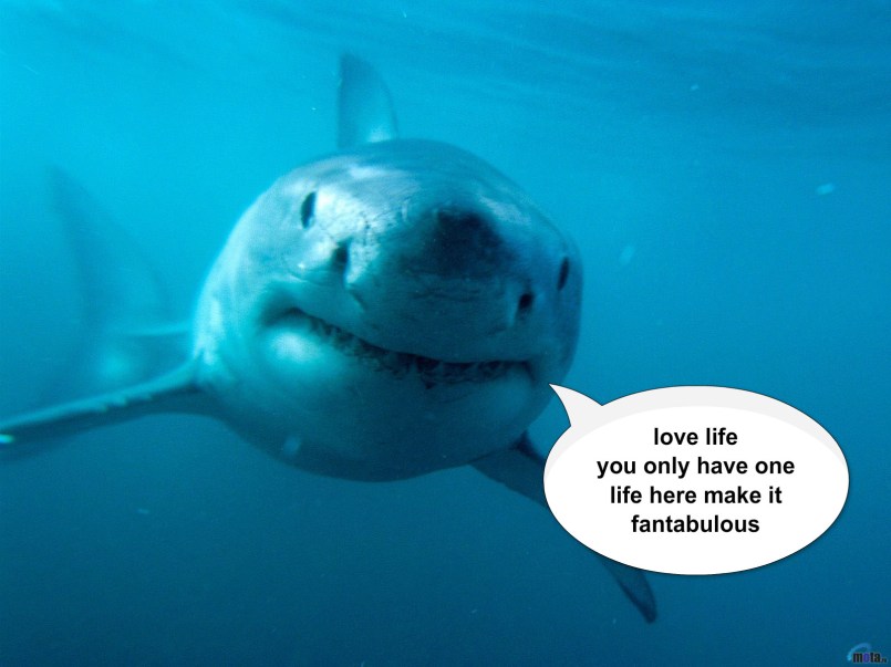 pizap.com14361070847371