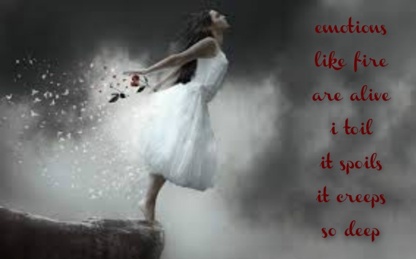 pizap.com14365562767691