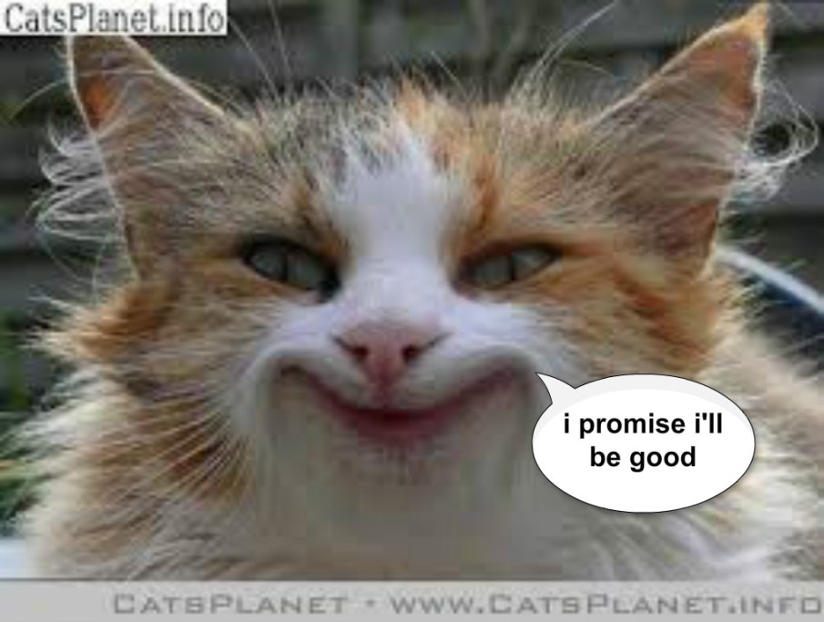 pizap.com14372788724951