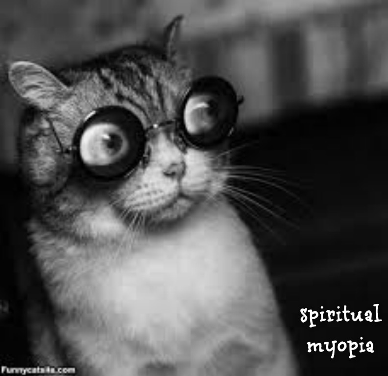 pizap.com14380055973331