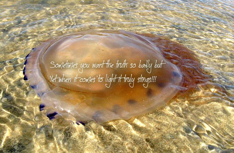 1009862_10201333256949779_1801079260_n