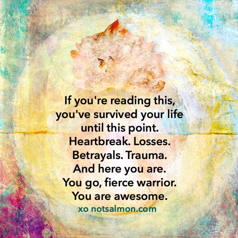 11692584_10153503690253707_5962866934472967660_n