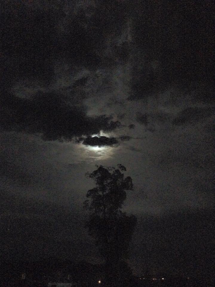 11960109_10204900300487148_5464234566853095723_n