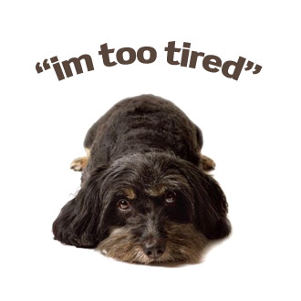 im-too-tired