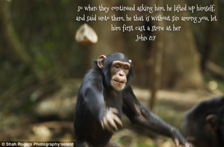 pizap.com14390048435371