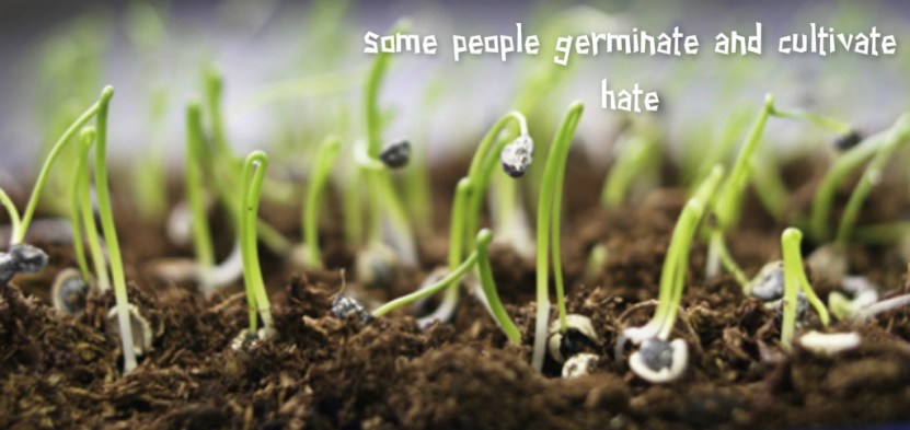 pizap.com14390570613461