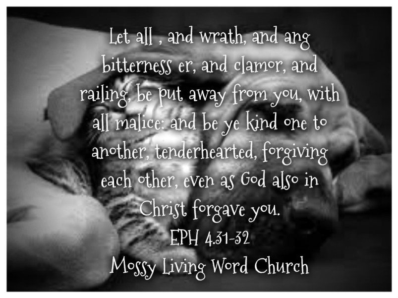 pizap.com14394975092311