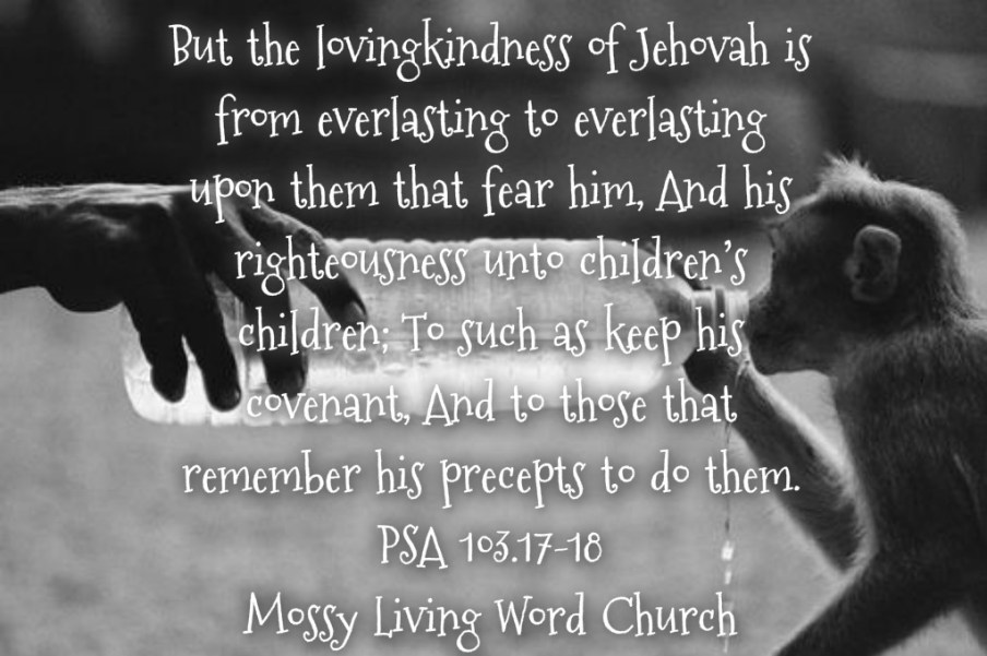 pizap.com14394980323871