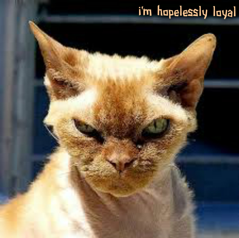 pizap.com14400896196241