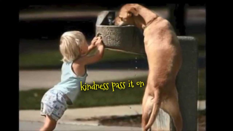 pizap.com14403504195971