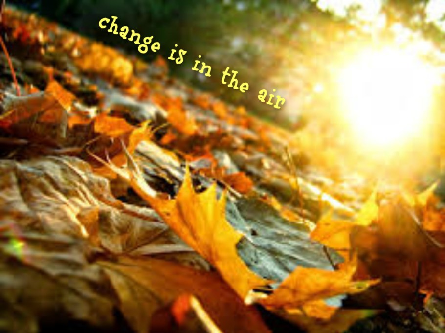 pizap.com14403535480381