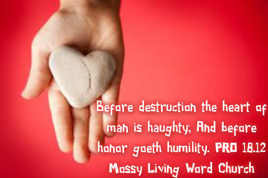 pizap.com14406505472461