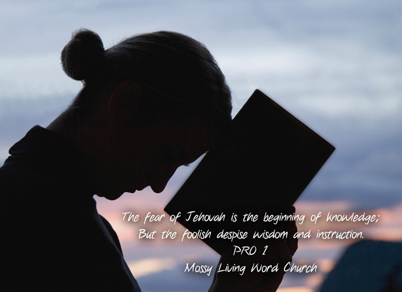 pizap.com14406514505851