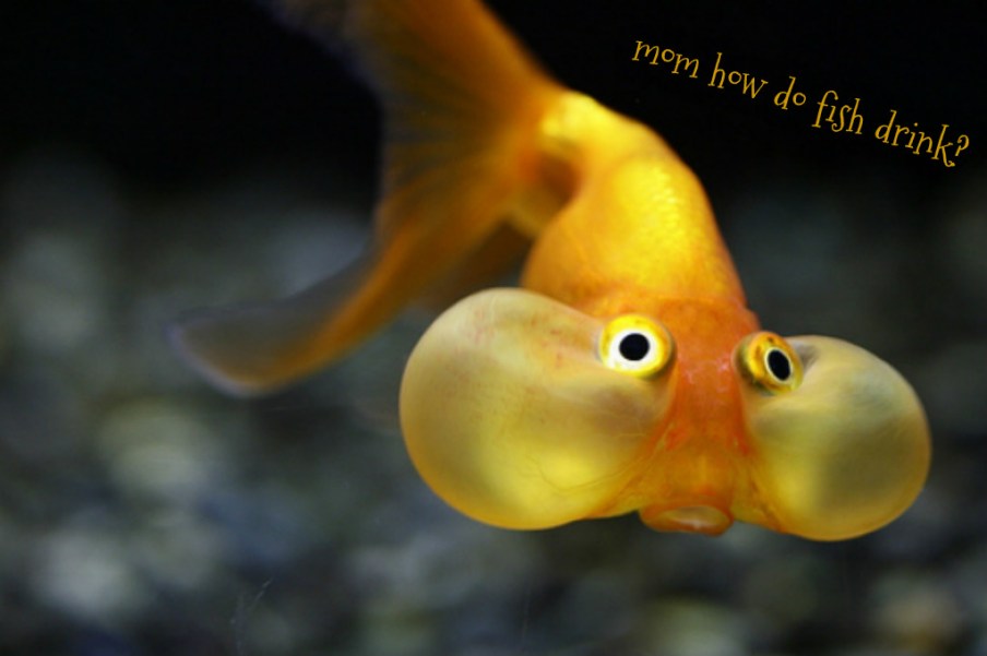 pizap.com14410333218461