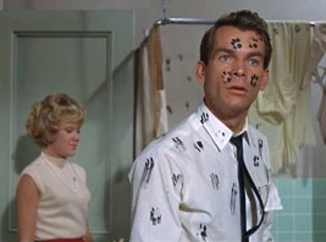 10354758_999587510062474_4219027839205956987_n