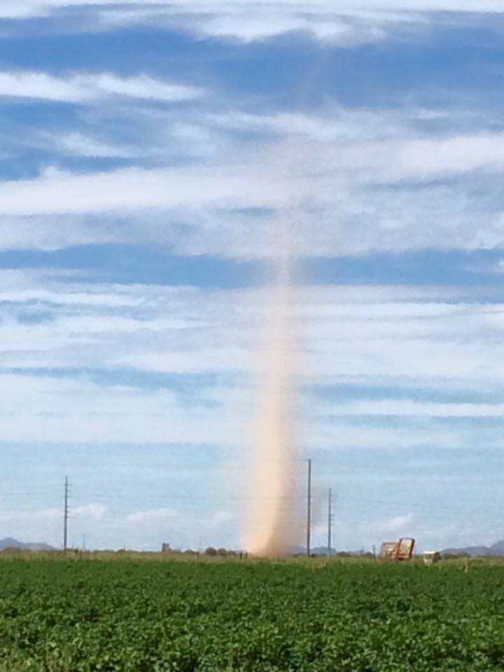 10620561_10204956508132304_9041901747764833509_n