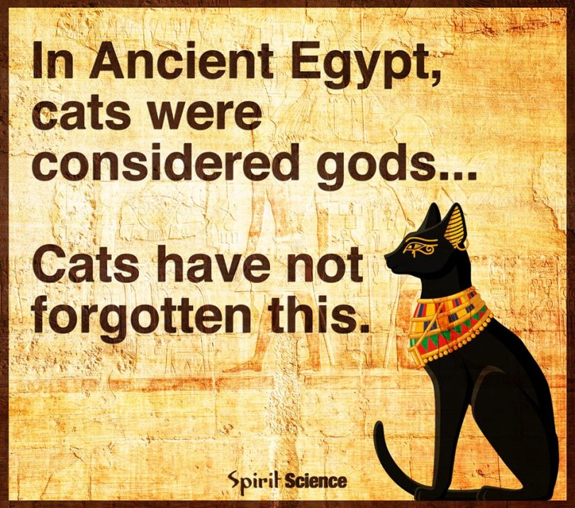 11062424_1127683550605466_440374071002197103_n