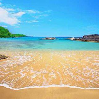 11204417_559753884173535_1105865671101374489_n