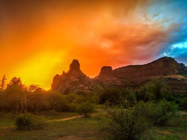 11215141_10153681354464015_2601285369489852204_n