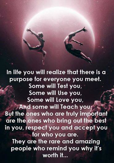 11781609_1185266684821776_1796164007085853168_n