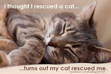 11949286_943557692407999_5554297723634228729_n