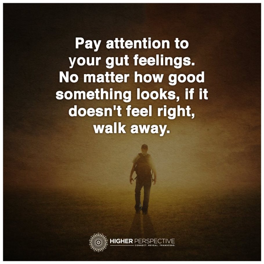 11990582_1072605319438453_1089761928166721502_n