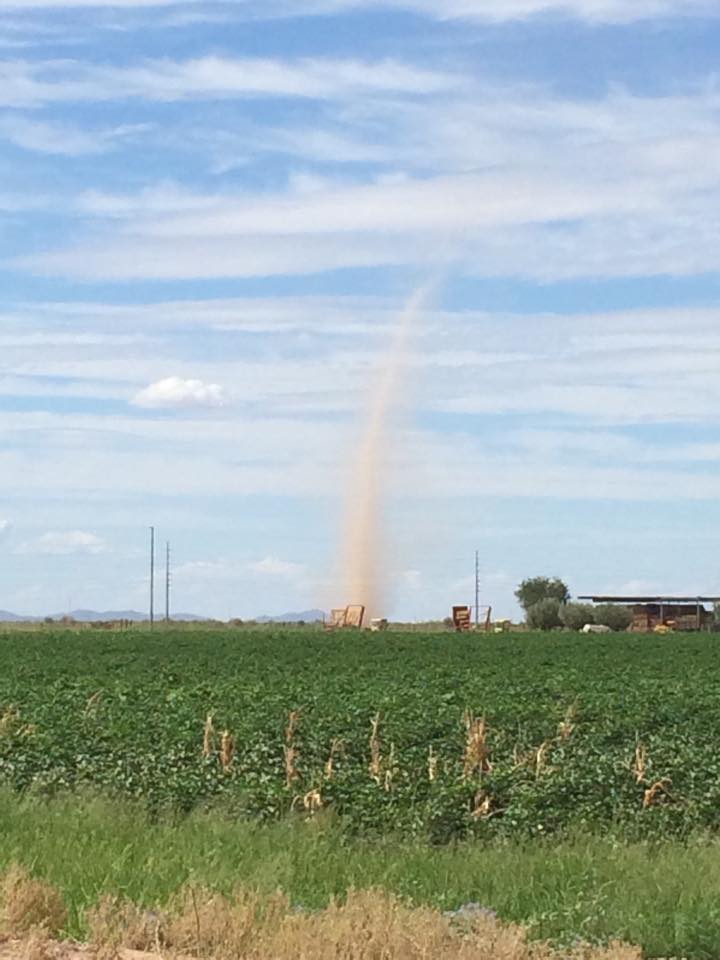 11994283_10204956505972250_254189513_n