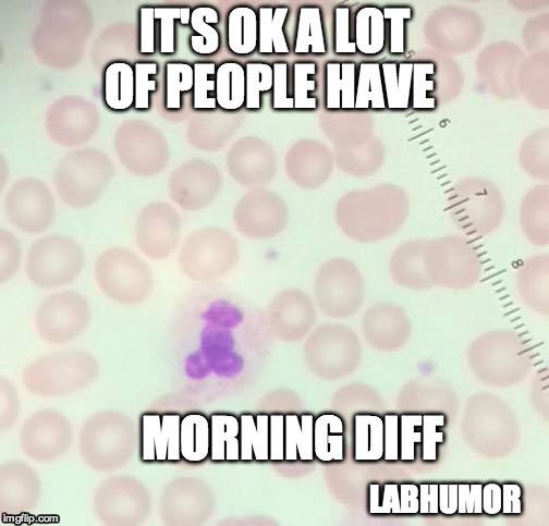 12004749_472574382925609_6233263143873775334_n