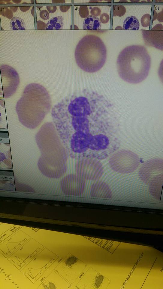 12039571_10153129375293341_6974052955388942701_n