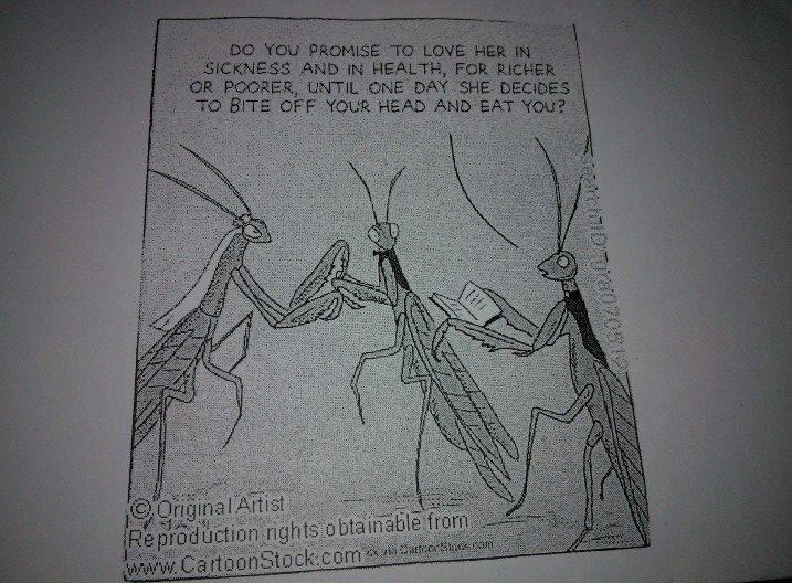 264046_4272802254647_75422678_n