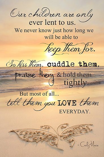 384255_288177154622365_915992100_n