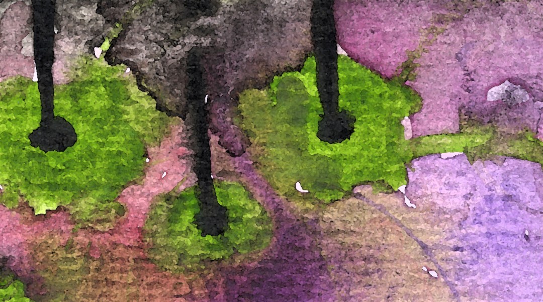 featuredasabovesobelow4