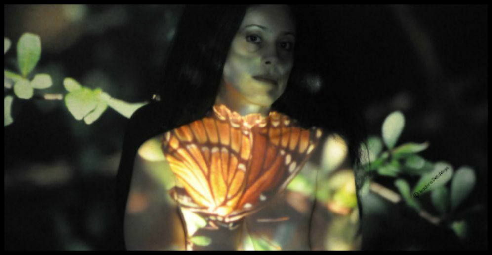 Kaila 996 Butterfly.web