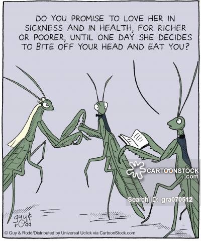 'Do you promise to love her in sickness and in health, for richer or poorer, until one day she decides to bite off your head and eat you.'