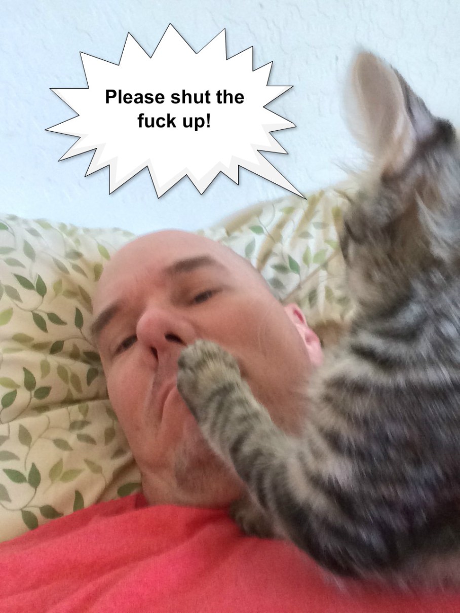 pizap.com14416061621631