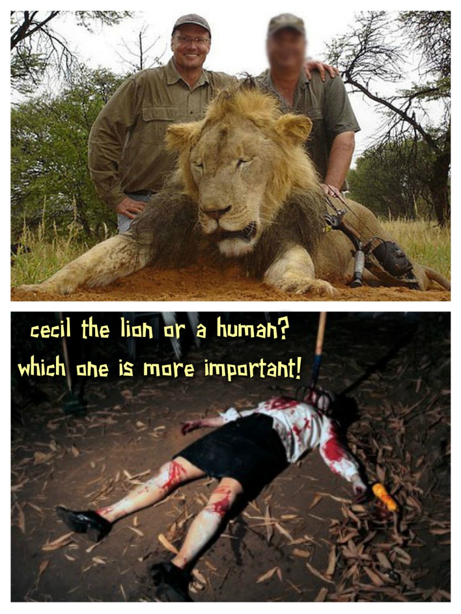 pizap.com14417342238651