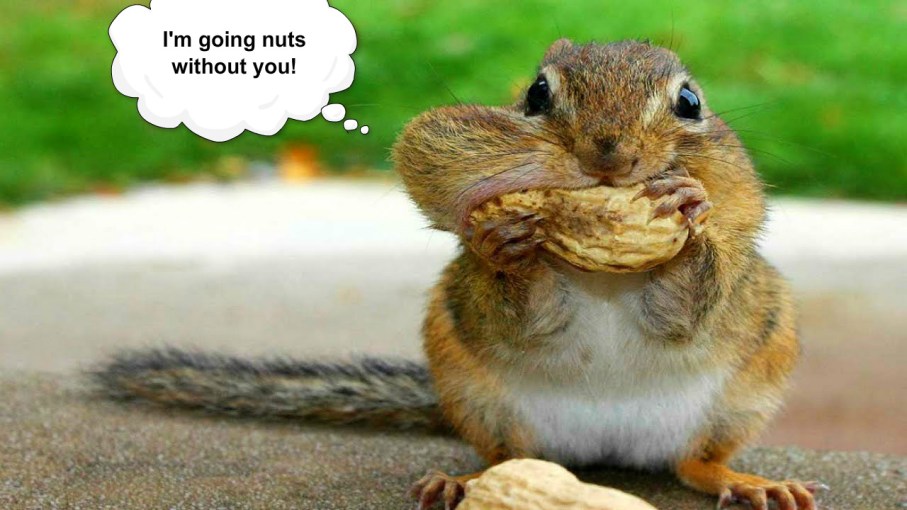 pizap.com14417395490251