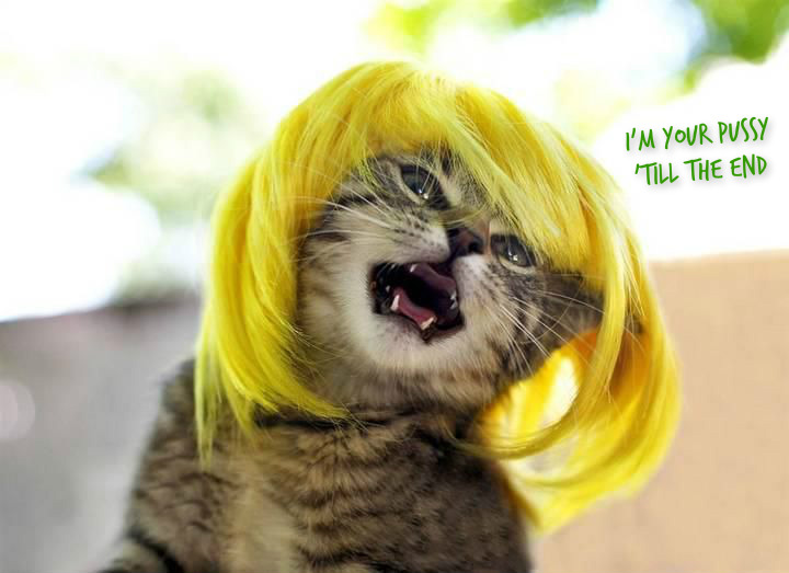 pizap.com14418192346901