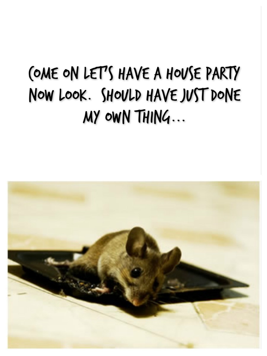 pizap.com14418231189311