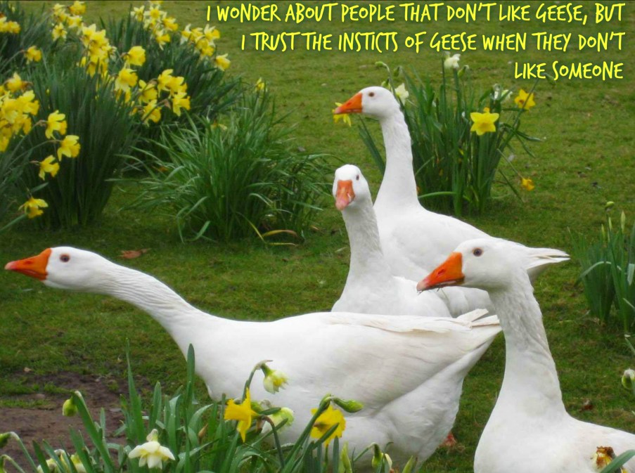 pizap.com14418340863861