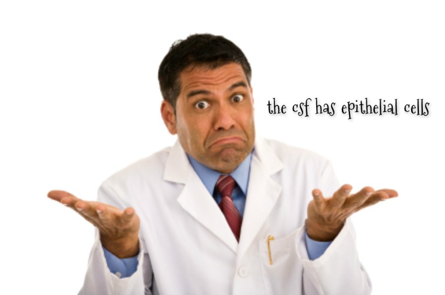 pizap.com14424152942861