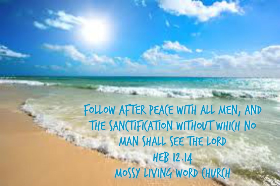 pizap.com14427676619782