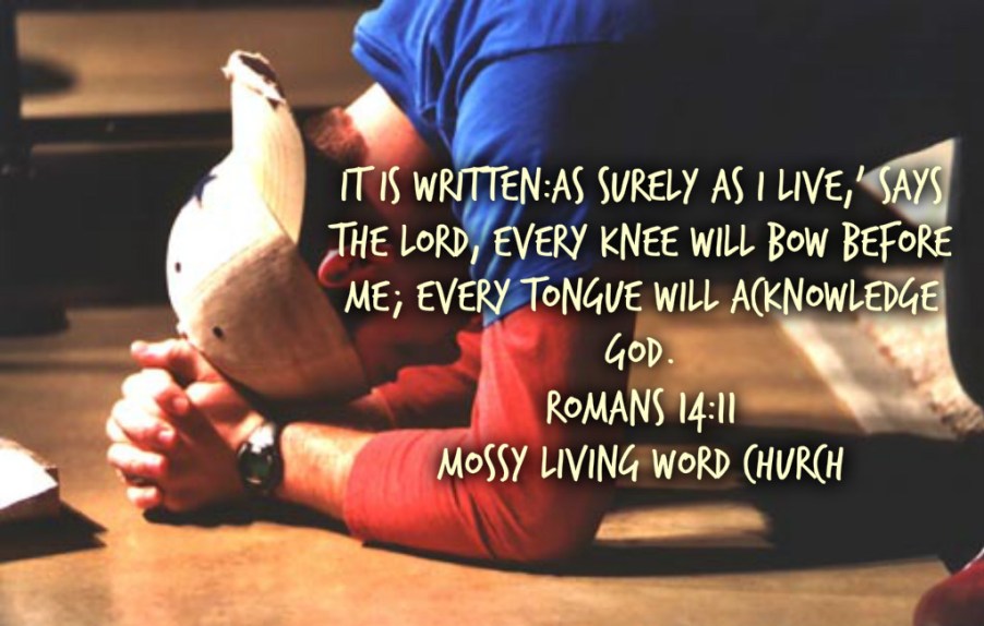 pizap.com14427685288771