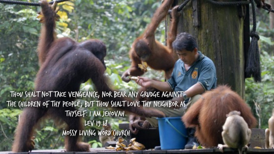 pizap.com14427688878631