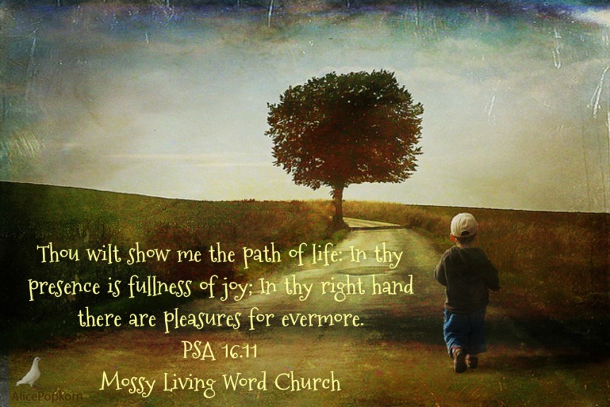 pizap.com14427693183621