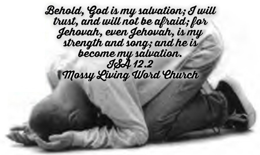 pizap.com14427767397331