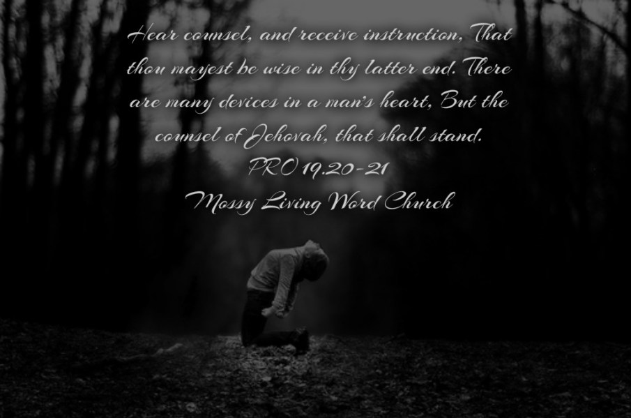 pizap.com14433360208711