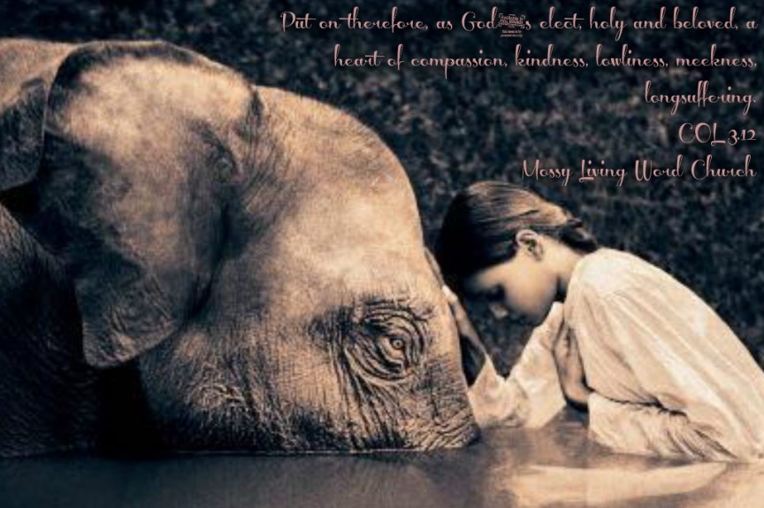 pizap.com14433364804881