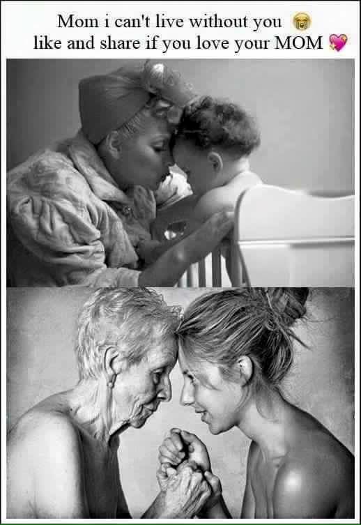 11144991_997960576928029_6016246934661209330_n