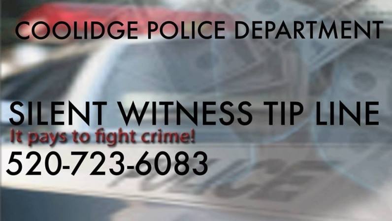 12065511_678585005612048_7936375746610309276_n